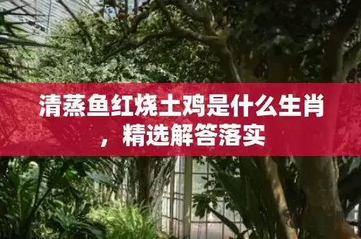 清蒸鱼红烧土鸡是什么生肖，精选解答落实插图