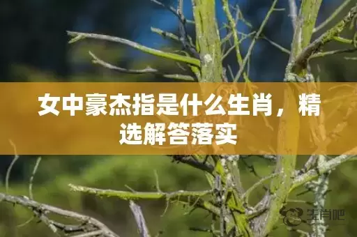 女中豪杰指是什么生肖，精选解答落实插图