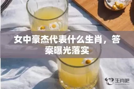 女中豪杰代表什么生肖，答案曝光落实插图