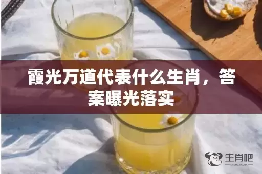 霞光万道代表什么生肖，答案曝光落实插图