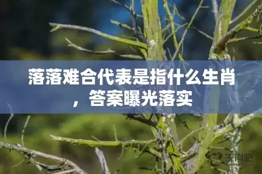 落落难合代表是指什么生肖，答案曝光落实插图