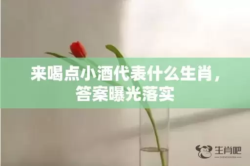 来喝点小酒代表什么生肖，答案曝光落实插图