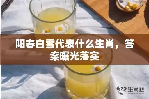 阳春白雪代表什么生肖，答案曝光落实插图