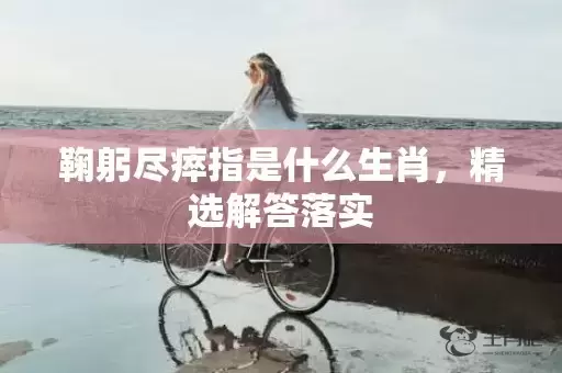 鞠躬尽瘁指是什么生肖，精选解答落实插图