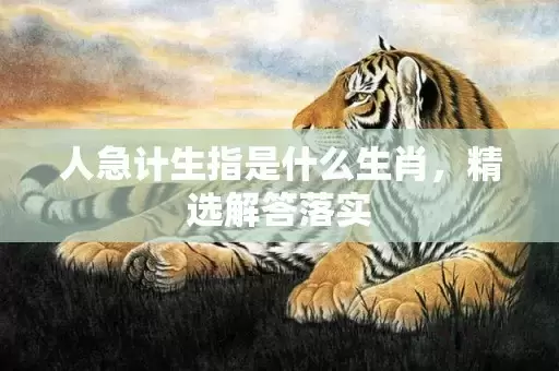人急计生指是什么生肖，精选解答落实插图