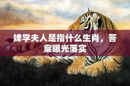 婢学夫人是指什么生肖，答案曝光落实插图