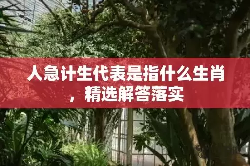 人急计生代表是指什么生肖，精选解答落实插图
