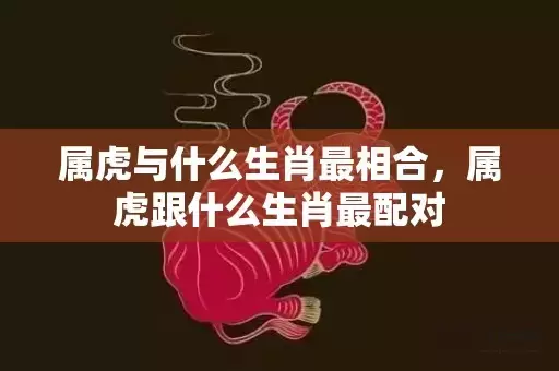 属虎与什么生肖最相合，属虎跟什么生肖最配对插图