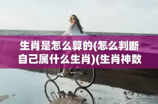 生肖是怎么算的(怎么判断自己属什么生肖)(生肖神数)插图