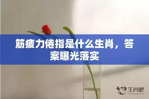 筋疲力倦指是什么生肖，答案曝光落实插图