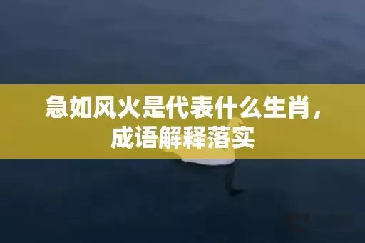 急如风火是代表什么生肖，成语解释落实插图