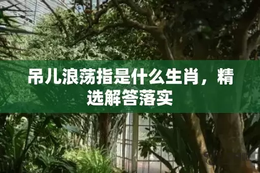 吊儿浪荡指是什么生肖，精选解答落实插图