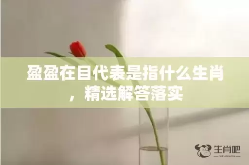 盈盈在目代表是指什么生肖，精选解答落实插图