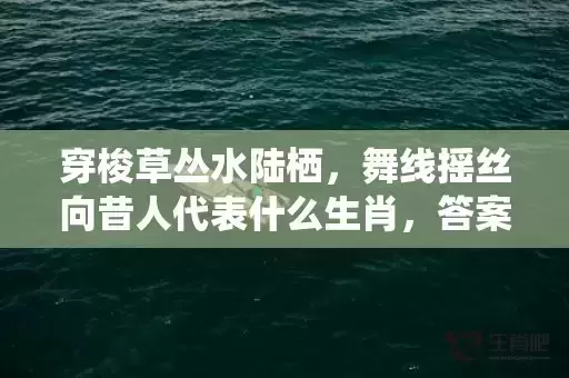 穿梭草丛水陆栖，舞线摇丝向昔人代表什么生肖，答案曝光落实插图