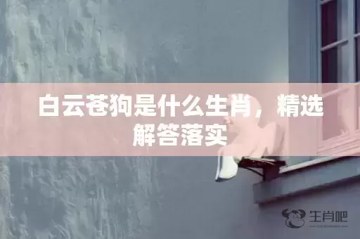 白云苍狗是什么生肖，精选解答落实插图