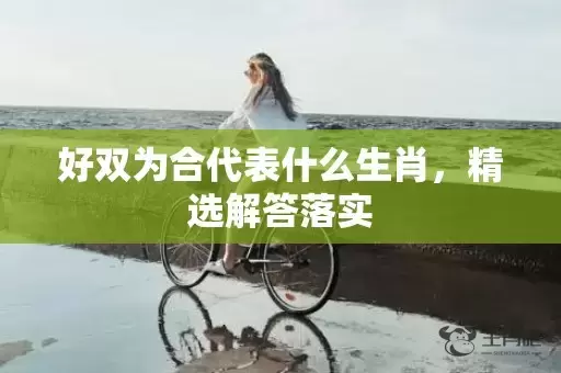 好双为合代表什么生肖，精选解答落实插图