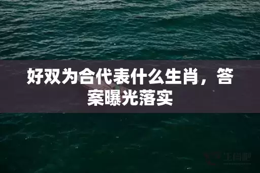 好双为合代表什么生肖，答案曝光落实插图
