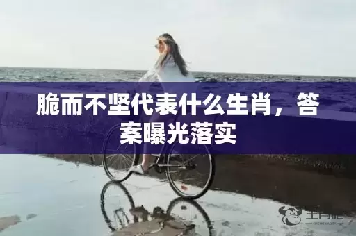 脆而不坚代表什么生肖，答案曝光落实插图