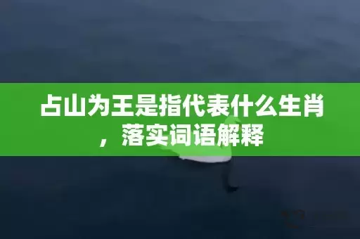 占山为王是指代表什么生肖，落实词语解释插图