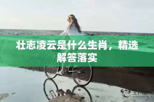 壮志凌云是什么生肖，精选解答落实插图