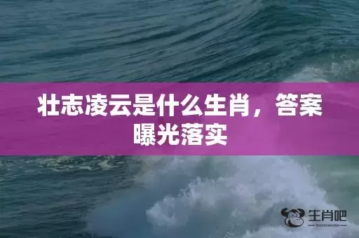 壮志凌云是什么生肖，答案曝光落实插图