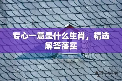 专心一意是什么生肖，精选解答落实插图