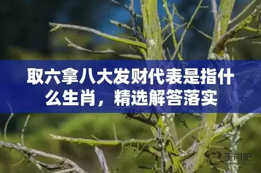取六拿八大发财代表是指什么生肖，精选解答落实插图