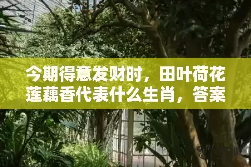 今期得意发财时，田叶荷花莲藕香代表什么生肖，答案曝光落实插图