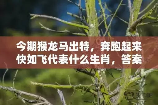 今期猴龙马出特，奔跑起来快如飞代表什么生肖，答案曝光落实插图
