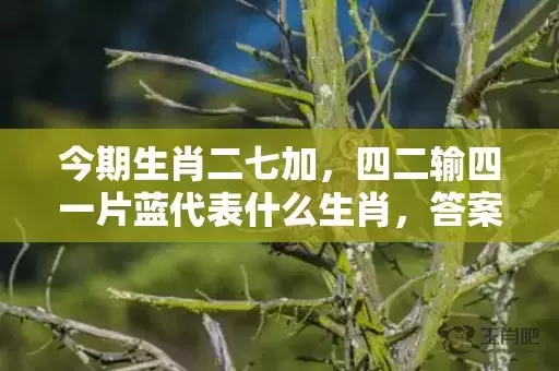 今期生肖二七加，四二输四一片蓝代表什么生肖，答案曝光落实插图