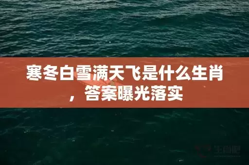 寒冬白雪满天飞是什么生肖，答案曝光落实插图