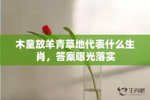 木童放羊青草地代表什么生肖，答案曝光落实插图