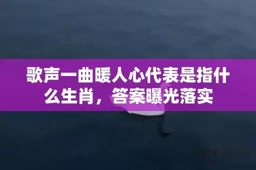歌声一曲暖人心代表是指什么生肖，答案曝光落实插图