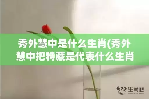 秀外慧中是什么生肖(秀外慧中把特藏是代表什么生肖)(秀外慧中是什么生肖 ?正确解释)插图