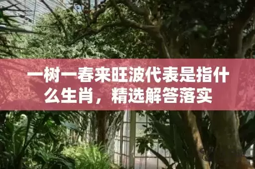 一树一春来旺波代表是指什么生肖，精选解答落实插图