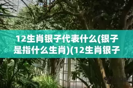 12生肖银子代表什么(银子是指什么生肖)(12生肖银子代表什么)插图