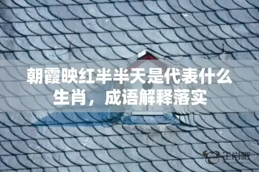 朝霞映红半半天是代表什么生肖，成语解释落实插图