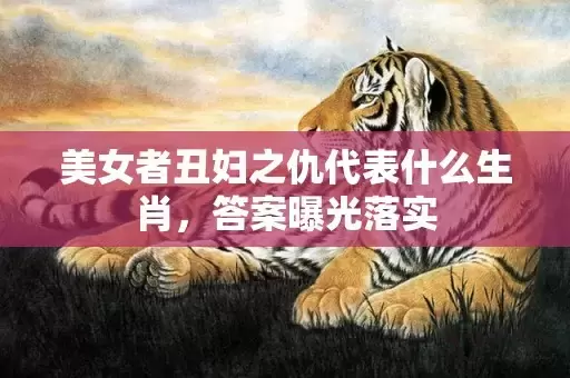 美女者丑妇之仇代表什么生肖，答案曝光落实插图