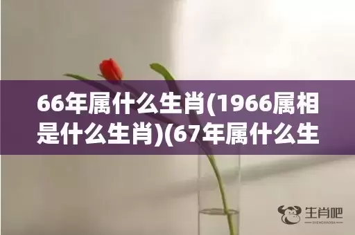 66年属什么生肖(1966属相是什么生肖)(67年属什么生肖)插图