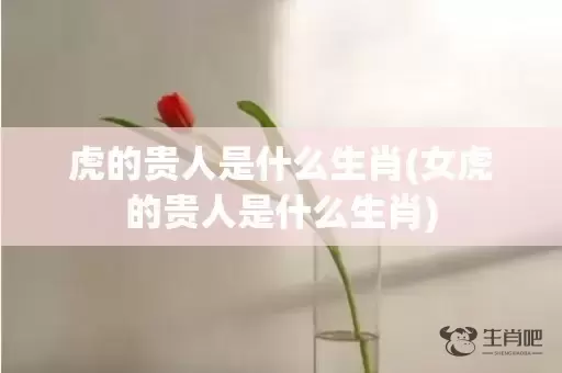 虎的贵人是什么生肖(女虎的贵人是什么生肖)插图