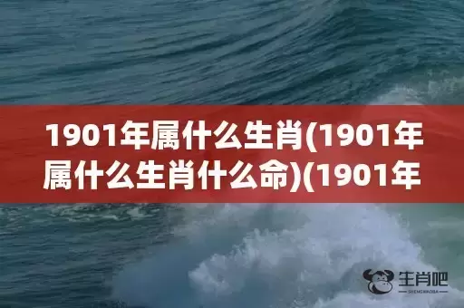 1901年属什么生肖(1901年属什么生肖什么命)(1901年属什么命)插图