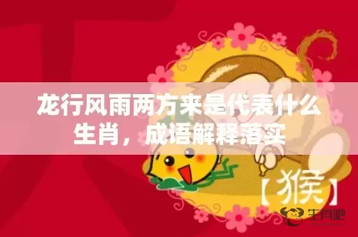 龙行风雨两方来是代表什么生肖，成语解释落实插图