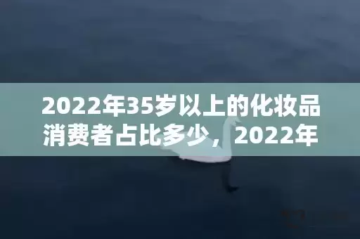 2022年35岁以上的化妆品消费者占比多少，2022年35岁属什么生肖插图