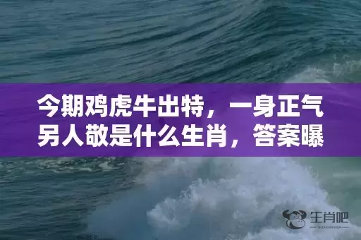 今期鸡虎牛出特，一身正气另人敬是什么生肖，答案曝光落实插图