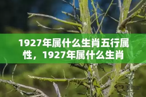 1927年属什么生肖五行属性，1927年属什么生肖插图