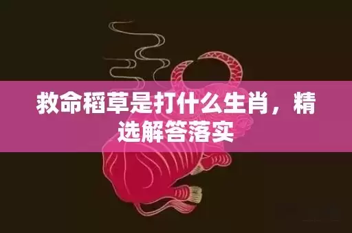 救命稻草是打什么生肖，精选解答落实插图