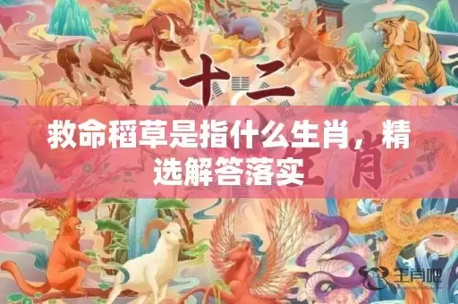 救命稻草是指什么生肖，精选解答落实插图