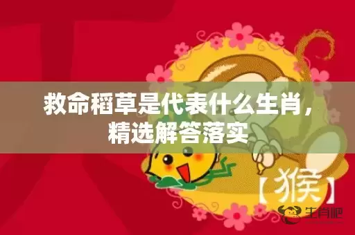 救命稻草是代表什么生肖，精选解答落实插图