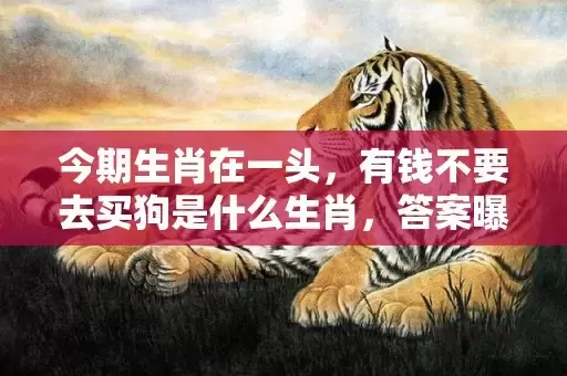 今期生肖在一头，有钱不要去买狗是什么生肖，答案曝光落实插图