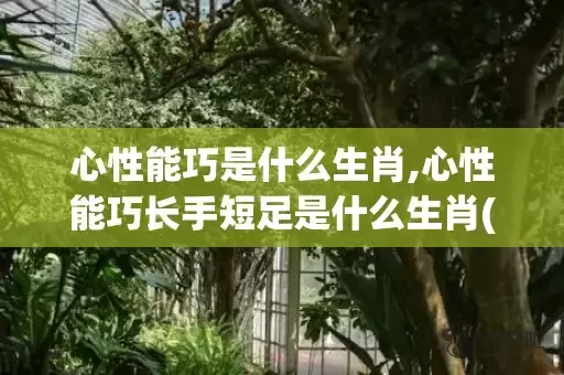 心性能巧是什么生肖,心性能巧长手短足是什么生肖(一个人的心性是什么意思)插图